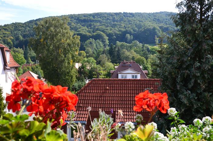 Villa Sonnenseite Jonsdorf Eksteriør bilde